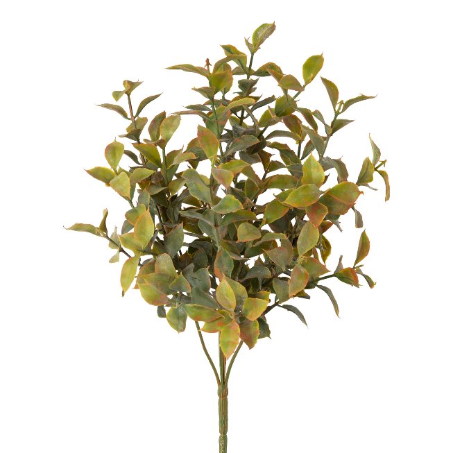 Ruscus bush, 33cm, green,