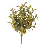 Ruscus bush, 33cm, green,