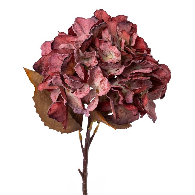 Hortensie, 48cm, bordeaux,