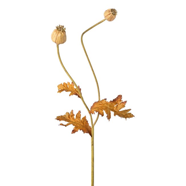Poppy branch, 74cm, natural,