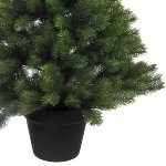 Fir tree in pot 287 tips