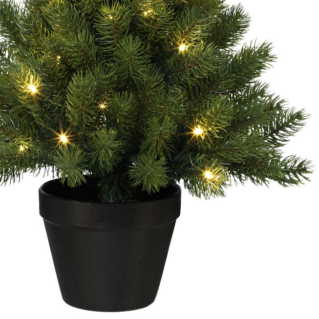 Fir tree in pot with 50 lights