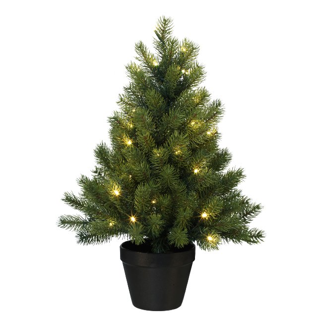 Fir tree in pot with 50 lights