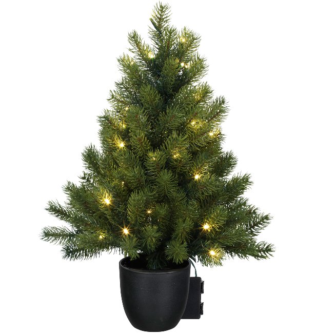 Fir tree in pot with 100 lights