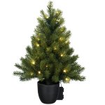 Fir tree in pot with 100 lights