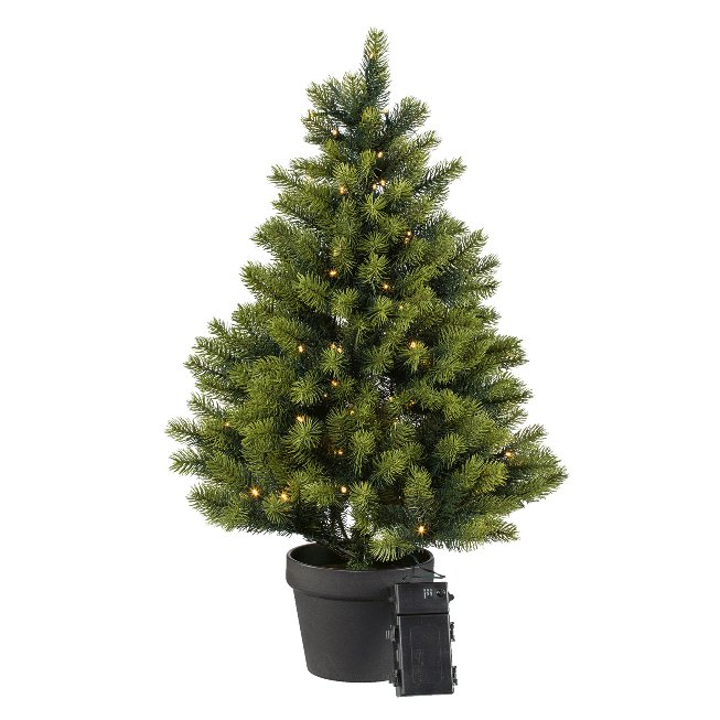 Fir tree in pot with 100 lights