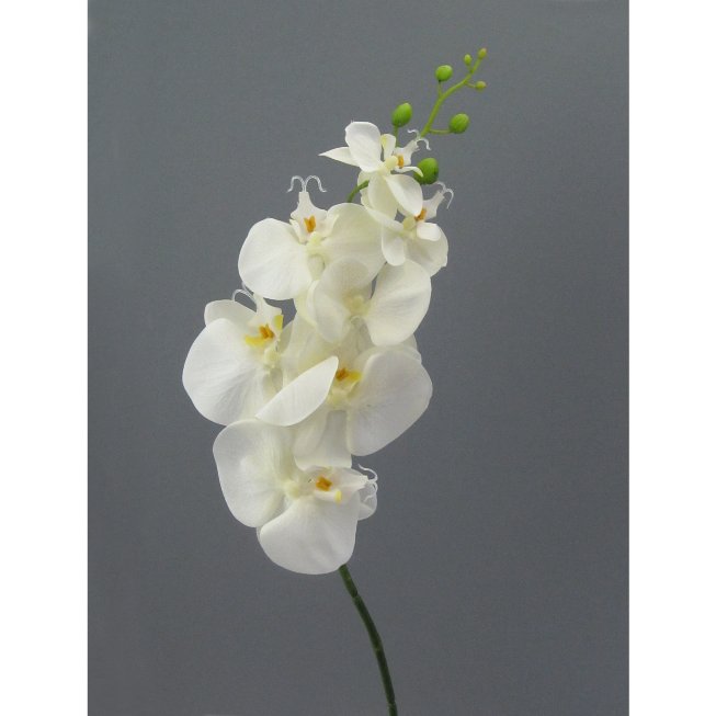 Orchid stem 86cm