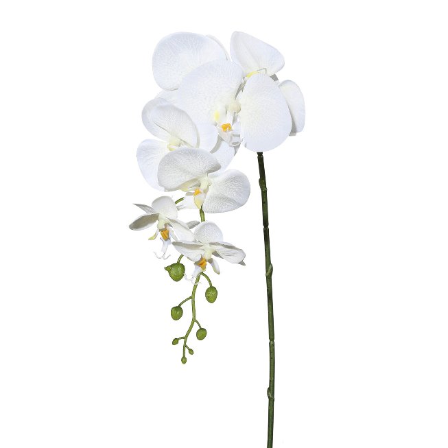 Orchid stem 86cm