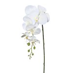 Orchideen-Stiel 86cm