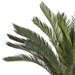 Artificial plant cycas palm 130cm in green