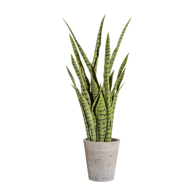 Artificial plant Sanseveria 85cm