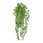 English mini ivy vine ca 90 cm
