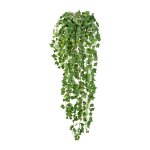 English mini ivy vine ca 115 cm
