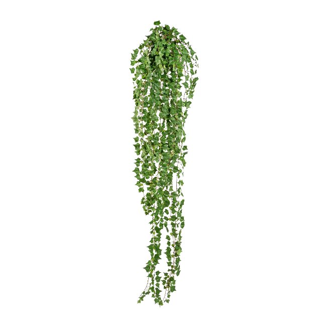 English mini ivy vine ca 180 cm