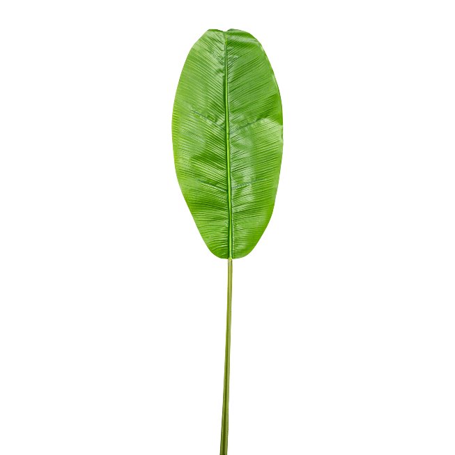 Banana leaf 60x29cm