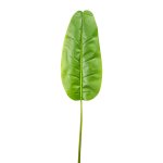 Banana leaf 72x34cm