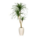 Kunstpflanze Dracaena marginata 100cm