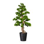 Bonsai pine ca 110x50cm