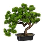 Bonsai pine ca 40x40cm