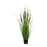 grass bush with reed x5
