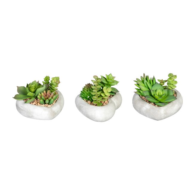 Succulents in cement heart bowls