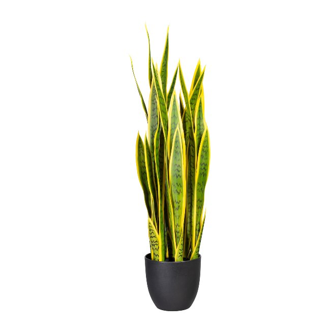 Artificial plant Sanseveria 90cm