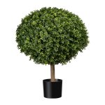 Artificial boxwood ball with natural trunk in plastic pot