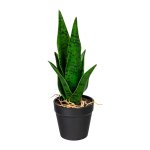 Artificial plant Sanseveria 27cm