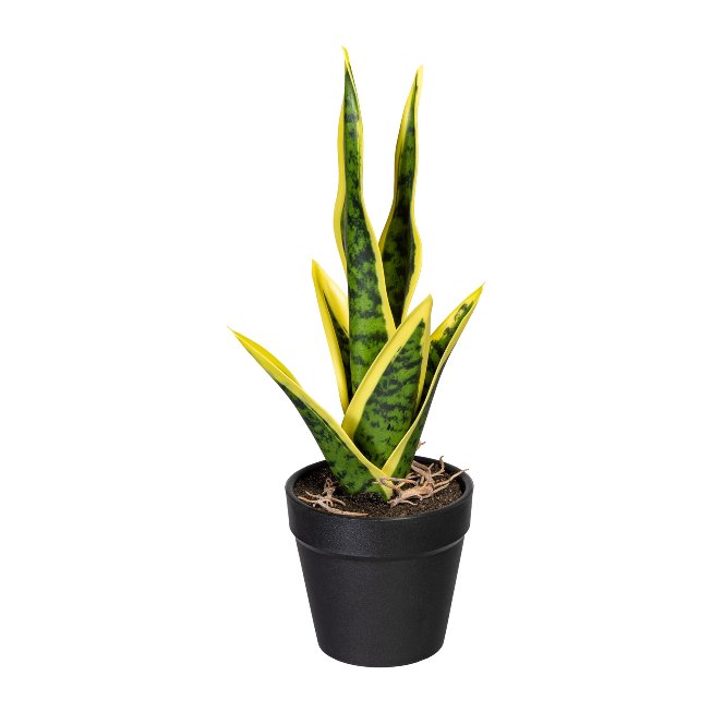 Kunstpflanze Sanseveria Mini 27cm