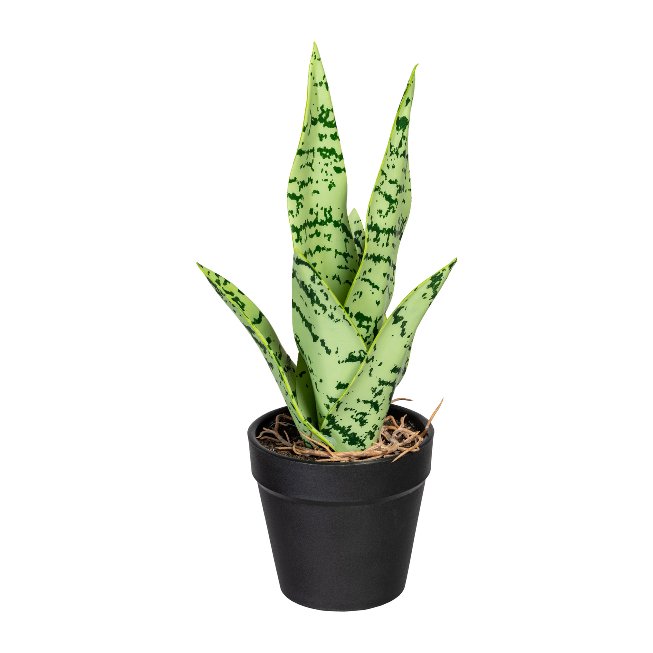 Kunstpflanze Sanseveria Mini 27cm