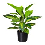 Kunstpflanze Dieffenbachia 45cm