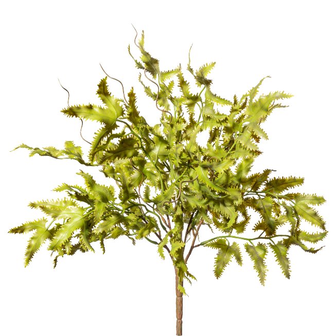 Artificial plant Japanese climbing fern 35cm