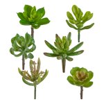 Kunstpflanze Sukkulenten-Mix 10cm