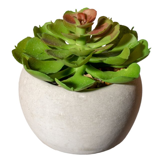 Kunstpflanze Sukkulenten 6-8cm