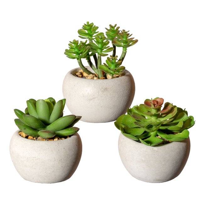 Kunstpflanze Sukkulenten 6-8cm