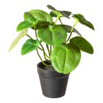 Artificial plant pilea bush 21cm