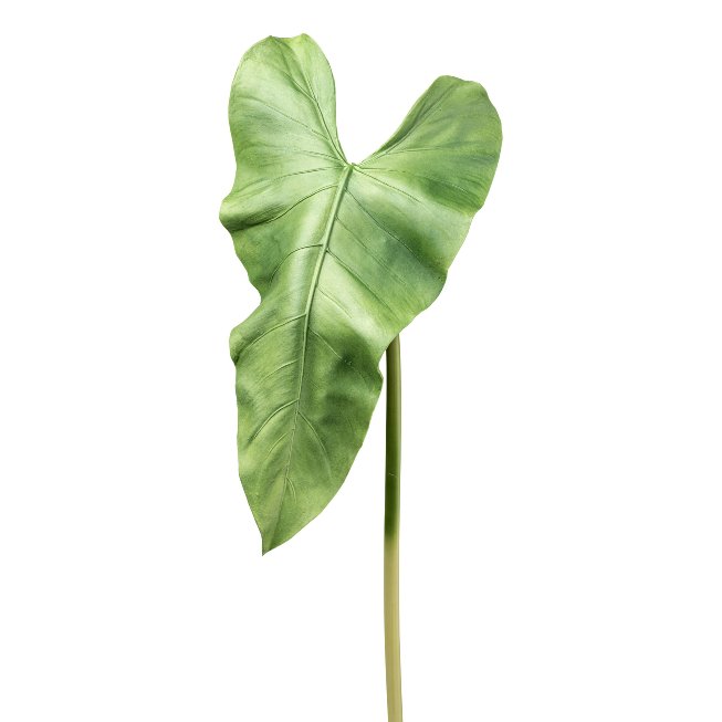 Artificial plant anthurium leaf