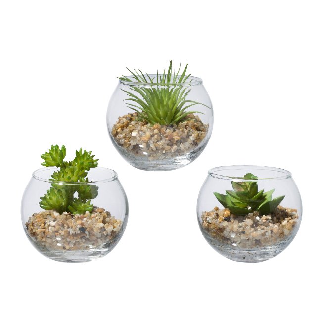 Artificial plant succulents and stones in glass