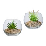 Artificial plant in glass jar with succulents and stones