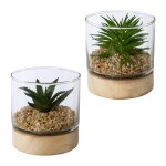 Artificial plant succulent in glass cylinder on wooden base