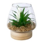 Set of 2 artificial plants in glass on wood