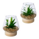 Set of 2 artificial plants in glass on wood
