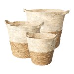 Nature Basket Set of 3