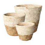 Nature Basket Set of 3