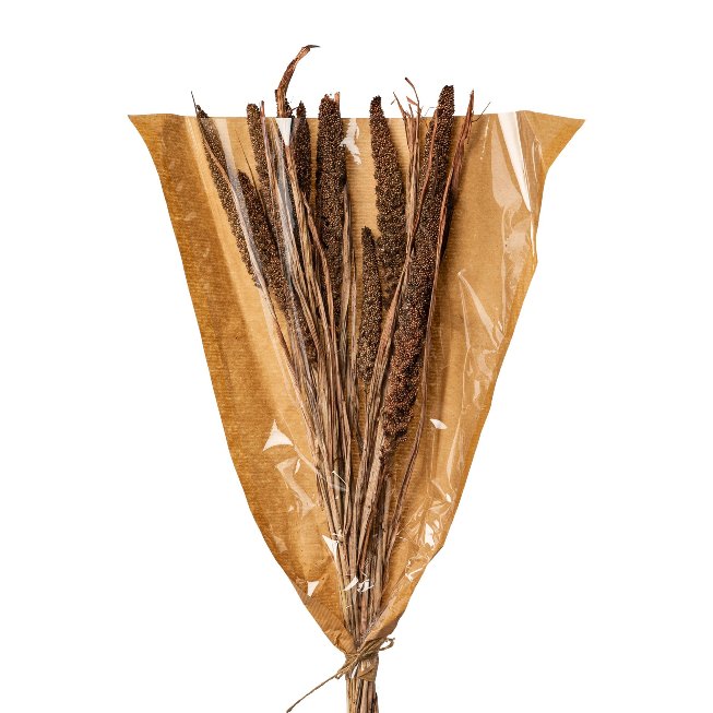 Trockenblumen 9er Bündel