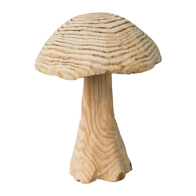 Fir wood mushroom