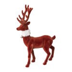 Stag standing with scarf
