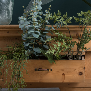 Künstliche Grünpflanzen und Zimmerpflanzen - Homefinity